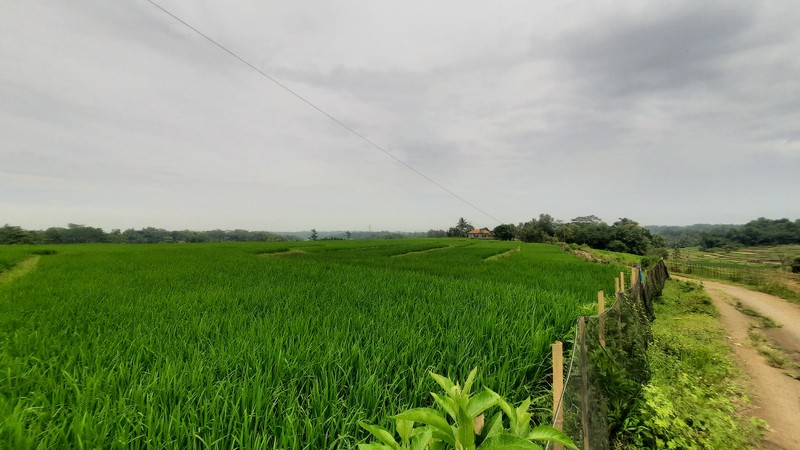 TANAH SIAP BANGUN DI ZONA KUNING DI BOJONG MANGU KARANG MULYA KABUPATEN BEKASI DEKAT PINTU TOLL JAPEK 2 DAN GIIC