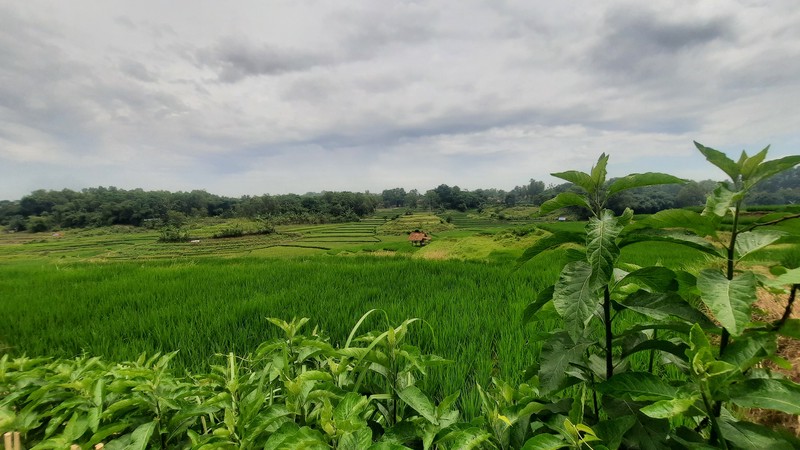 TANAH SIAP BANGUN DI ZONA KUNING DI BOJONG MANGU KARANG MULYA KABUPATEN BEKASI DEKAT PINTU TOLL JAPEK 2 DAN GIIC