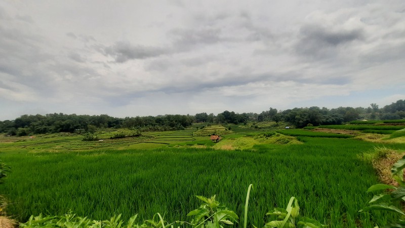 TANAH SIAP BANGUN DI ZONA KUNING DI BOJONG MANGU KARANG MULYA KABUPATEN BEKASI DEKAT PINTU TOLL JAPEK 2 DAN GIIC