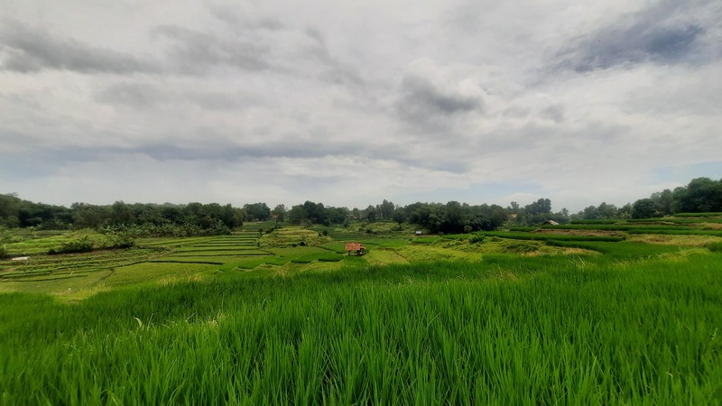 TANAH SIAP BANGUN DI ZONA KUNING DI BOJONG MANGU KARANG MULYA KABUPATEN BEKASI DEKAT PINTU TOLL JAPEK 2 DAN GIIC