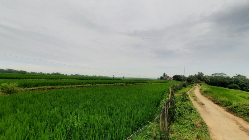 TANAH SIAP BANGUN DI ZONA KUNING DI BOJONG MANGU KARANG MULYA KABUPATEN BEKASI DEKAT PINTU TOLL JAPEK 2 DAN GIIC