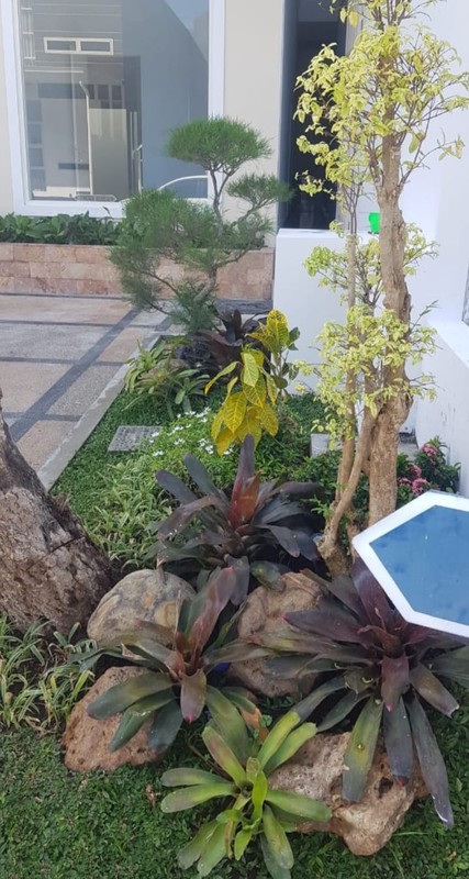 Rumah Dijual Pakuwon City Palm Beach Imperial Mulyorejo Surabaya