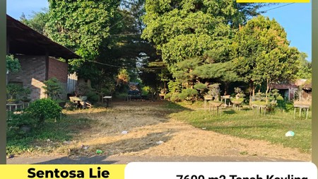 Dijual 7600 M2 Tanah Jalan Raya Pantura - Jalan Raya Tambakrejo - Kraton - Pasuruan Jawa Timur - Lokasi Bagus - Surat Shm