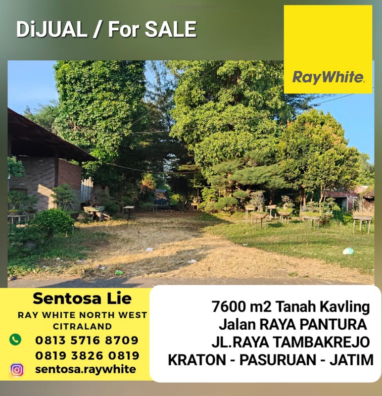 Dijual 7600 M2 Tanah Jalan Raya Pantura - Jalan Raya Tambakrejo - Kraton - Pasuruan Jawa Timur - Lokasi Bagus - Surat Shm
