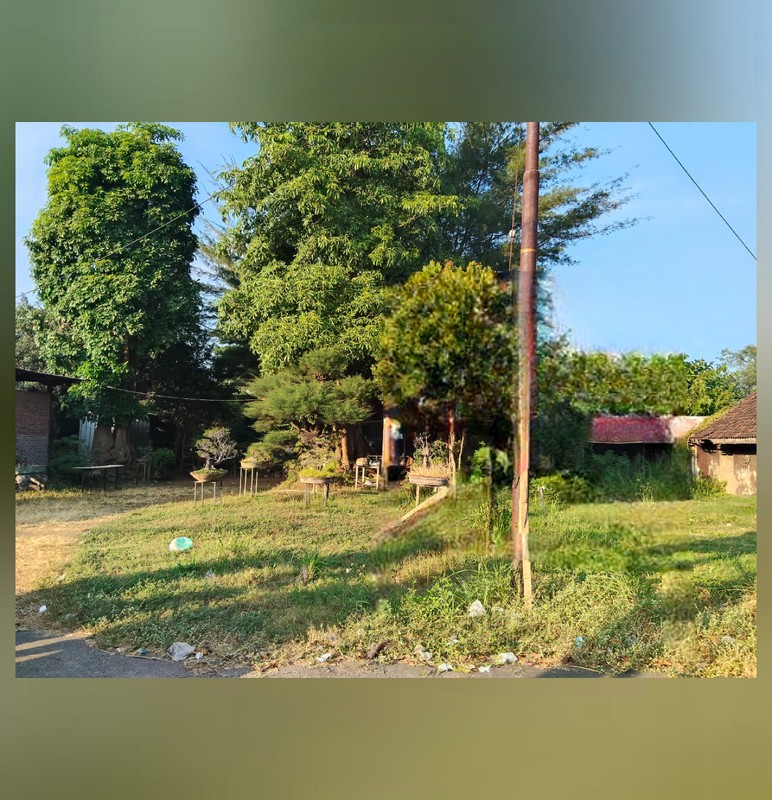 Dijual 7600 M2 Tanah Jalan Raya Pantura - Jalan Raya Tambakrejo - Kraton - Pasuruan Jawa Timur - Lokasi Bagus - Surat Shm