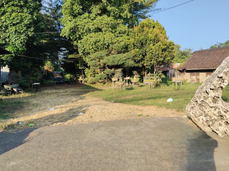 Dijual 7600 M2 Tanah Jalan Raya Pantura - Jalan Raya Tambakrejo - Kraton - Pasuruan Jawa Timur - Lokasi Bagus - Surat Shm