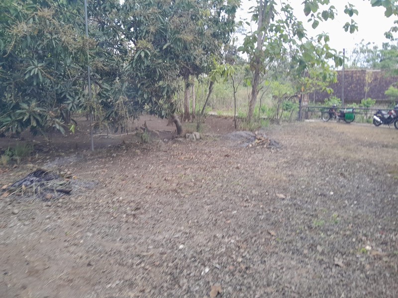 Investasi Tanah & Villa Halaman Luas dekat pasar Gading di Platen, Gunung Kidul 