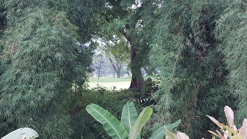 Kavling Tanah View Golf Siap Bangun sudah ada IMB Griya Alam Sentul