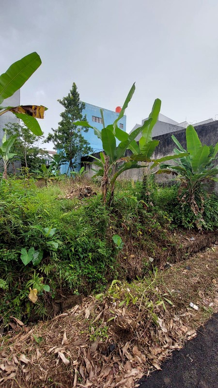 Kavling Tanah View Golf Siap Bangun sudah ada IMB Griya Alam Sentul