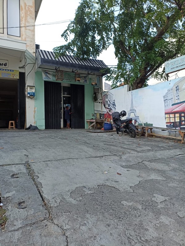 Rumah 1 Lantai Sunter