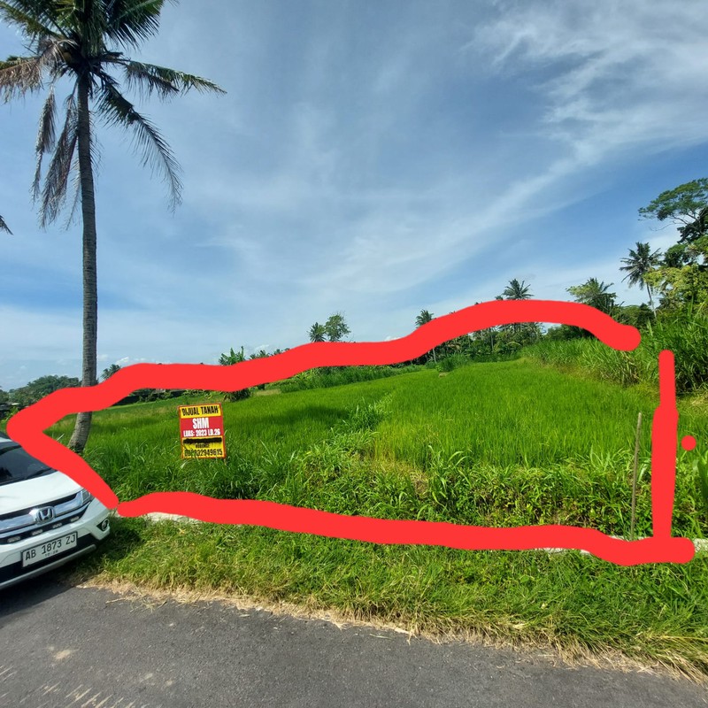 Tanah Sawah Luas 2023 Meter Persegi Lokasi Dekat Kopi Klothok - Pakem Sleman 