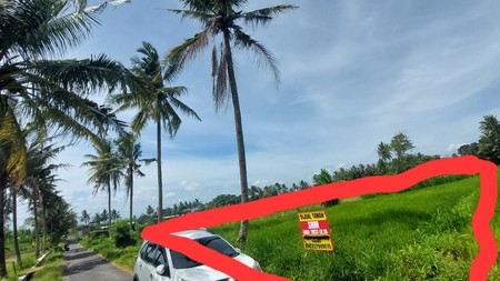 Tanah Sawah Luas 2023 Meter Persegi Lokasi Dekat Kopi Klothok - Pakem Sleman 