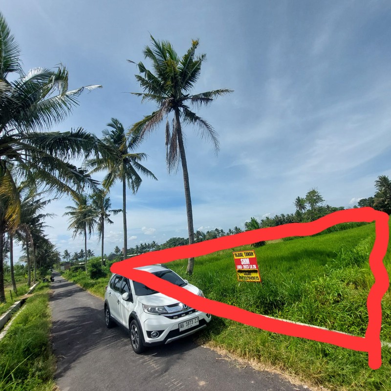 Tanah Sawah Luas 2023 Meter Persegi Lokasi Dekat Kopi Klothok - Pakem Sleman 