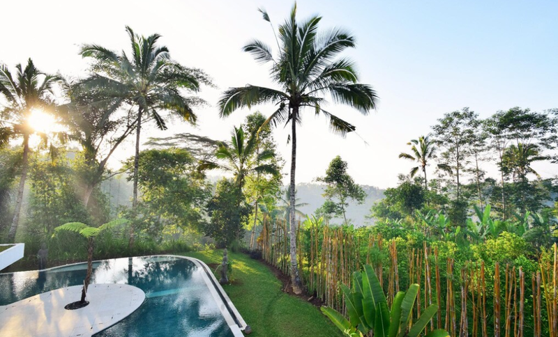 Ultra Modern 6 Bedrooms Home with Jungle Views in Ubud Bali