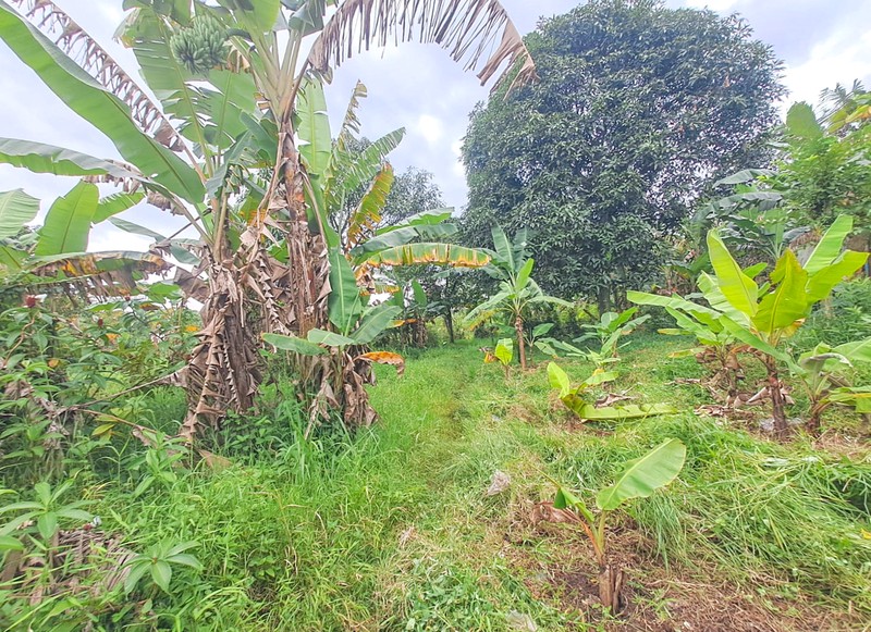 Tanah di Bojongsari Sawangan, akses ke Duren Mekar Cinangka Curug
