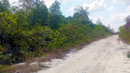 Tanah dekat pantai Laskar Pelangi Jual 