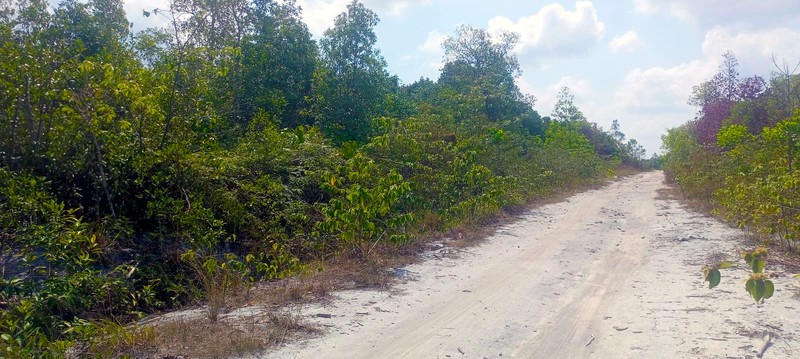 Tanah dekat pantai Laskar Pelangi Jual 