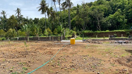 Well-Positioned 18 Are Land Near Lovina's Growing Lifestyle Hub