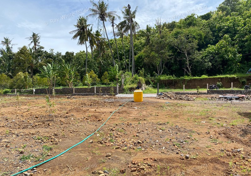 Well-Positioned 18 Are Land Near Lovina's Growing Lifestyle Hub