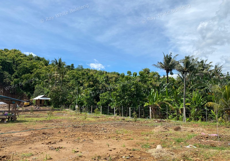 Well-Positioned 18 Are Land Near Lovina's Growing Lifestyle Hub