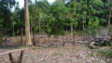 Tanah Bagus dijual dekat lokasi Pantai Laskar Pelangi