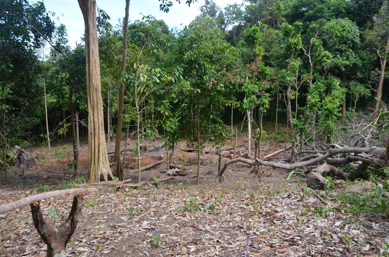 Tanah Bagus dijual dekat lokasi Pantai Laskar Pelangi