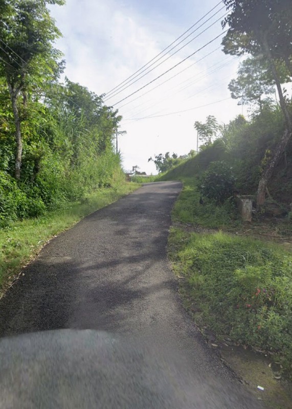MURAH Dijual 6 Ha Tanah Nol Jalan Di Kalipucang - Tutur - Pasuruan - Jawa Timur Cocok Buat Peternakan, Perkebunan - Akses Jalan Berpaving Lebar 4 Meter - Surat SHM