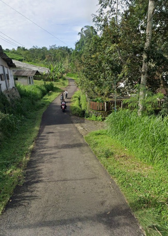 MURAH Dijual 6 Ha Tanah Nol Jalan Di Kalipucang - Tutur - Pasuruan - Jawa Timur Cocok Buat Peternakan, Perkebunan - Akses Jalan Berpaving Lebar 4 Meter - Surat SHM