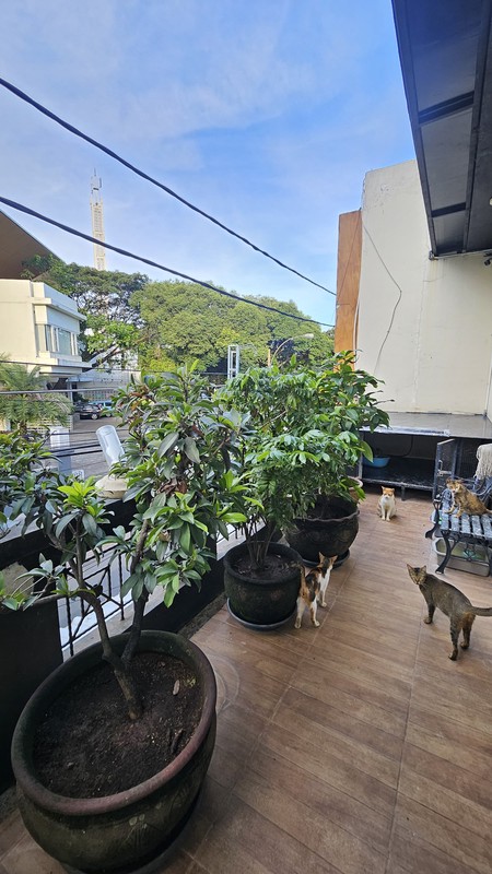 Investasi Cepat: Rumah Kos + Warteg, Pinggir Jalan Bintaro Utama