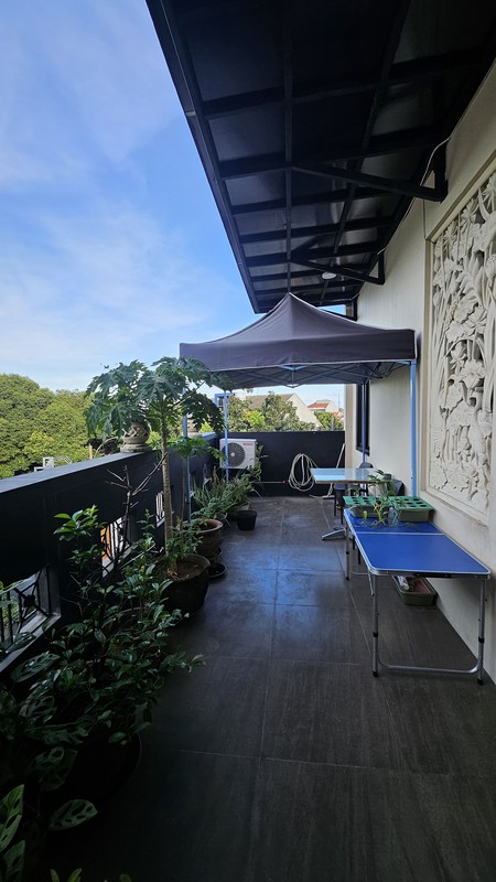 Investasi Cepat: Rumah Kos + Warteg, Pinggir Jalan Bintaro Utama