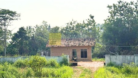 TANAH DIJUAL PRINGSEWU LAMPUNG DIJUAL TANAH PRINGSEWU TIMUR LAMPUNG