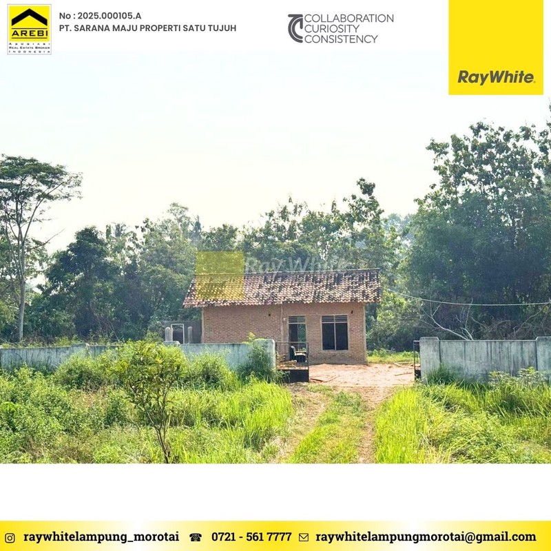 TANAH DIJUAL PRINGSEWU LAMPUNG DIJUAL TANAH PRINGSEWU TIMUR LAMPUNG