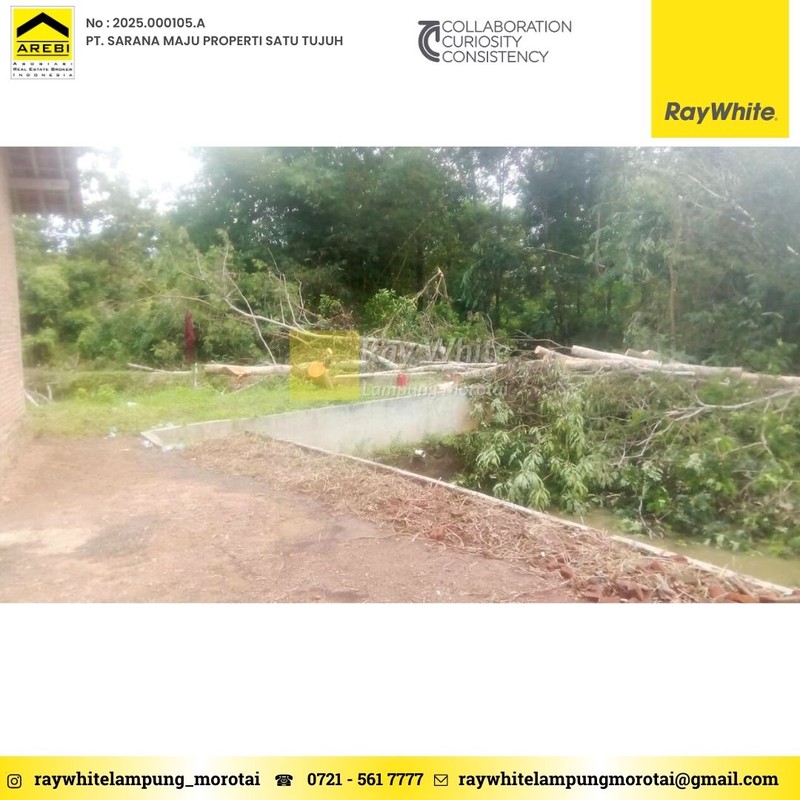 TANAH DIJUAL PRINGSEWU LAMPUNG DIJUAL TANAH PRINGSEWU TIMUR LAMPUNG