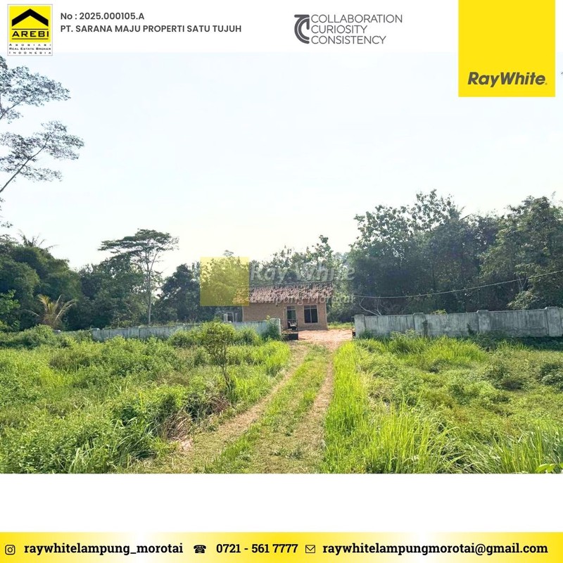 TANAH DIJUAL PRINGSEWU LAMPUNG DIJUAL TANAH PRINGSEWU TIMUR LAMPUNG