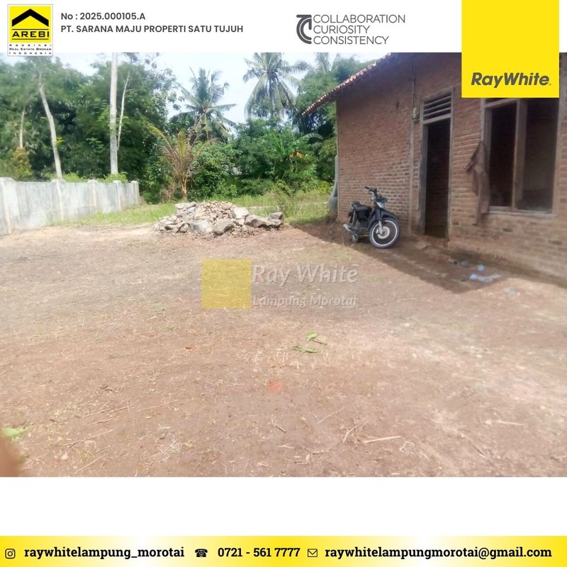 TANAH DIJUAL PRINGSEWU LAMPUNG DIJUAL TANAH PRINGSEWU TIMUR LAMPUNG