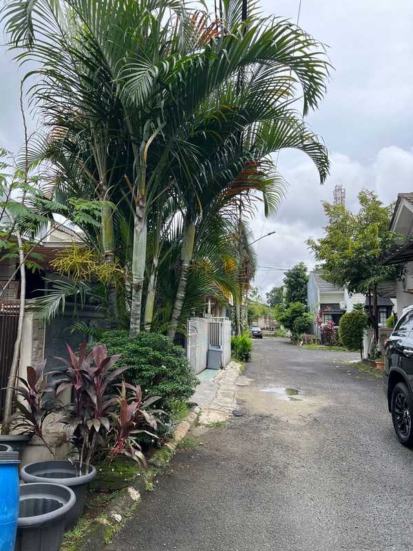 Rumah Bagus Di Nusa Loka, Jl Alor BSD Tangerang Selatan