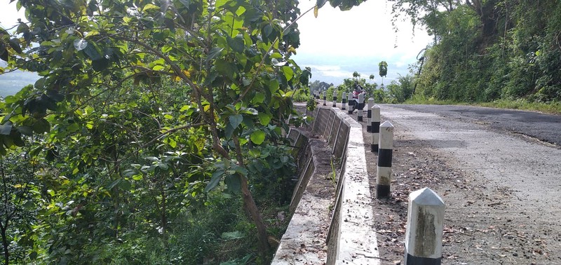 Tanah Pekarangan Luas 1207 Meter Persegi Lokasi Jatimulyo , Girimulyo - Kulon Progo 