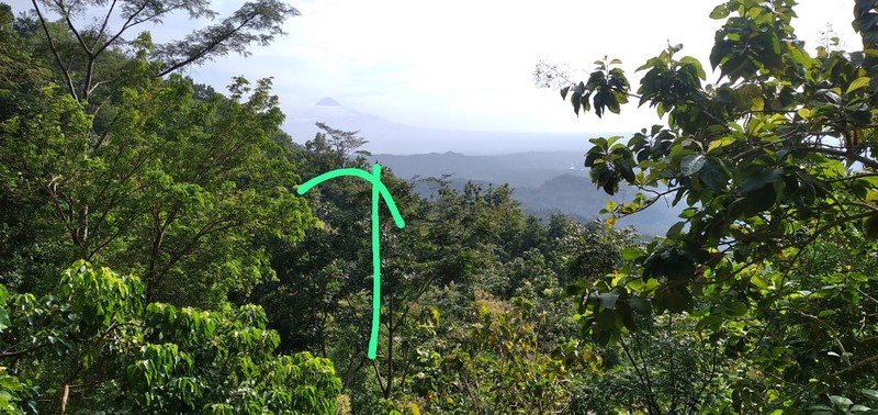 Tanah Pekarangan Luas 1207 Meter Persegi Lokasi Jatimulyo , Girimulyo - Kulon Progo 