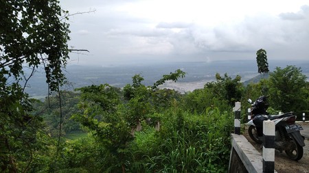 Tanah Pekarangan Luas 1207 Meter Persegi Lokasi Jatimulyo , Girimulyo - Kulon Progo 
