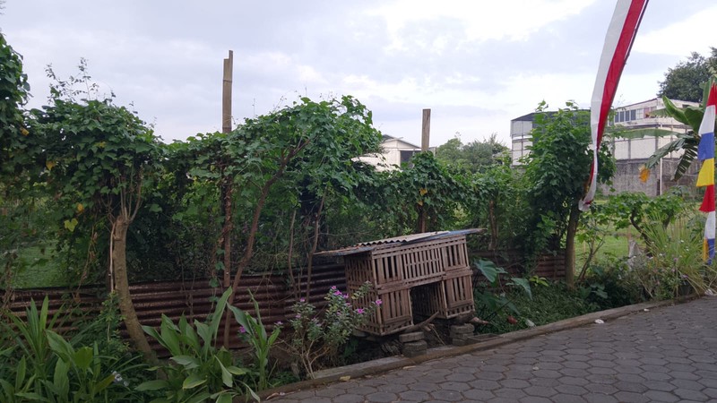 Tanah Pekarangan Luas 286 Meter Persegi Lokasi Sonopakis - Kasihan Bantul