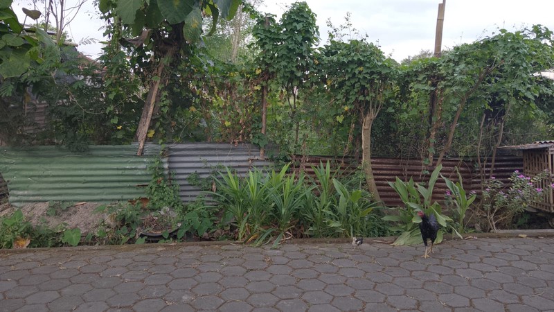 Tanah Pekarangan Luas 286 Meter Persegi Lokasi Sonopakis - Kasihan Bantul