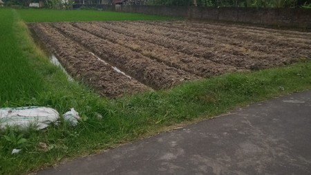 Dijual Tanah Sawah Lokasi Strategis Sidoagung - Sleman 