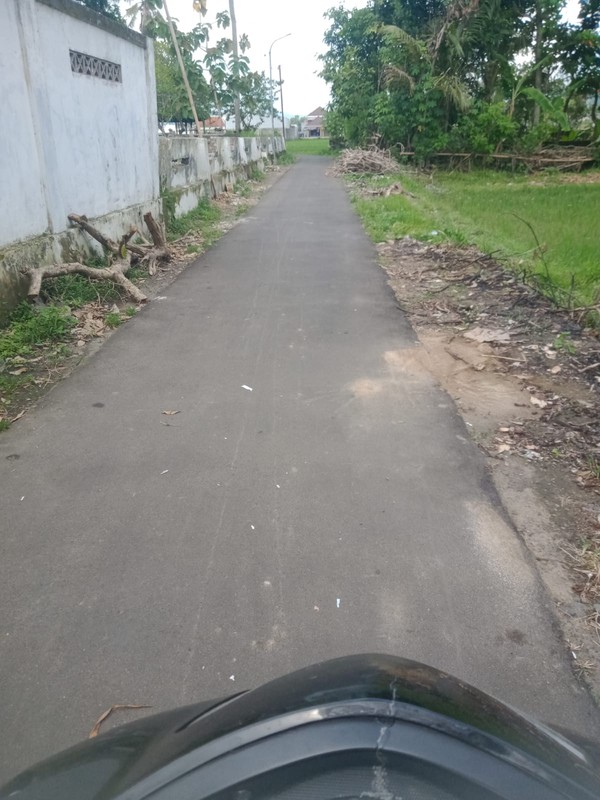 Dijual Tanah Sawah Lokasi Strategis Sidoagung - Sleman 