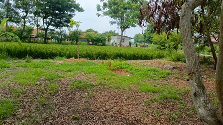 KAVLING SIAP BANGUN DI KUTAWALUYA KARAWANG DEKAT DENGAN AKSES JALAN RAYA UTAMA