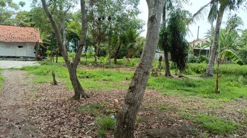 KAVLING SIAP BANGUN DI KUTAWALUYA KARAWANG DEKAT DENGAN AKSES JALAN RAYA UTAMA