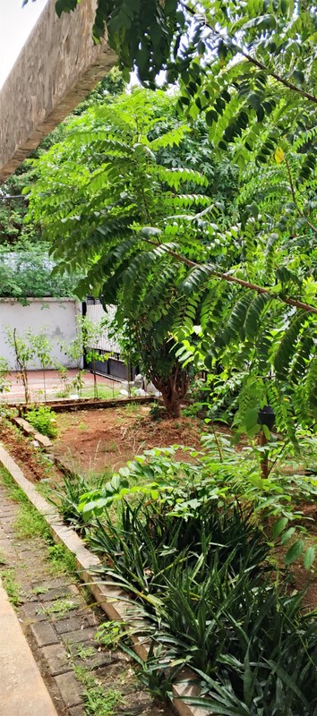Rumah Hunian Di Daerah Setiabudi, Jakarta Selatan