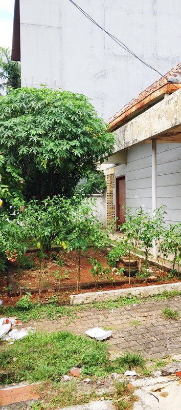 Rumah Hunian Di Daerah Setiabudi, Jakarta Selatan