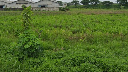 Jual Tanah Industri Jombang