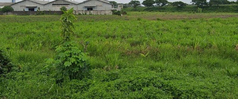 Jual Tanah Industri Jombang