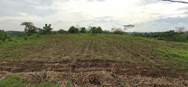 Jual Tanah Industri Jombang